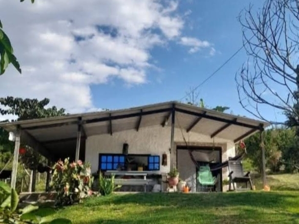 Finca productiva en venta | Vereda Aguaclara – Valle del Cauca