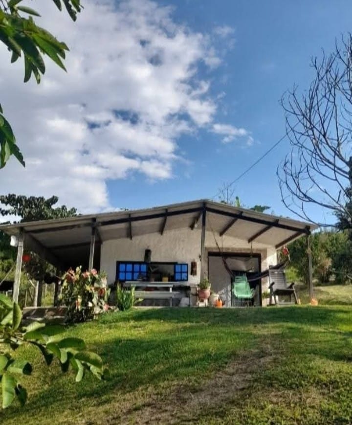 102051 Finca productiva en venta | Vereda Aguaclara – Valle del Cauca