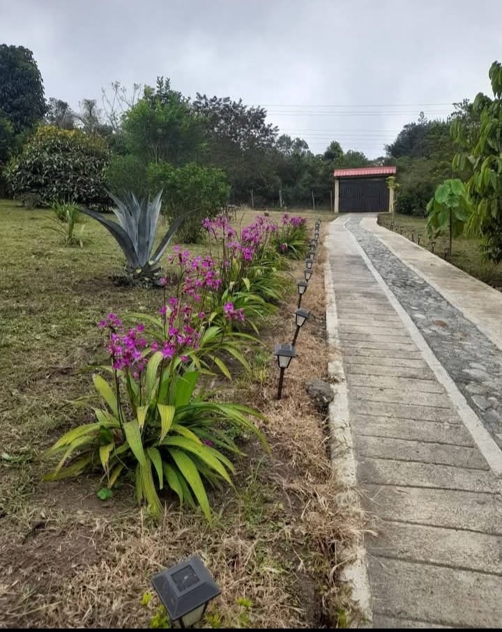 102054 Finca productiva en venta | Vereda Aguaclara – Valle del Cauca